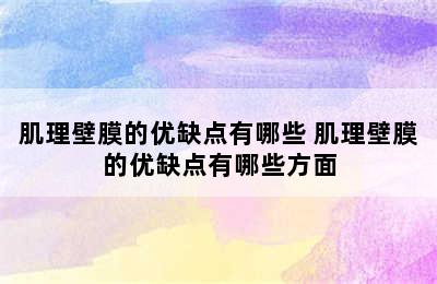 肌理壁膜的优缺点有哪些 肌理壁膜的优缺点有哪些方面